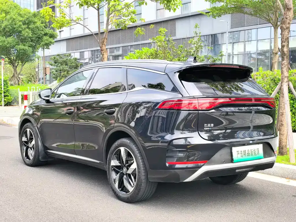BYD Tang New Energy — фото 2