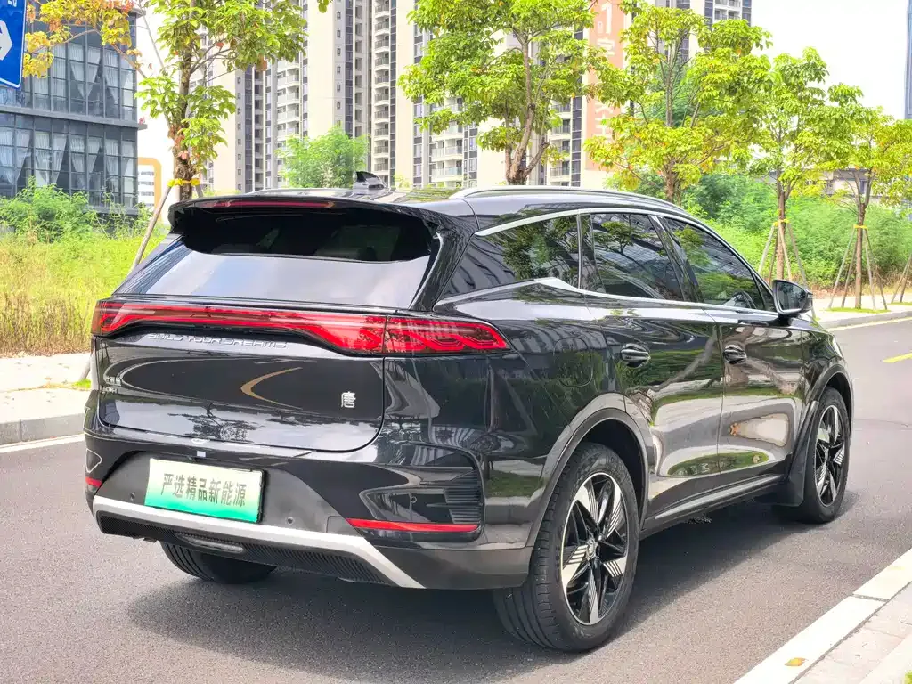 BYD Tang New Energy — фото 6