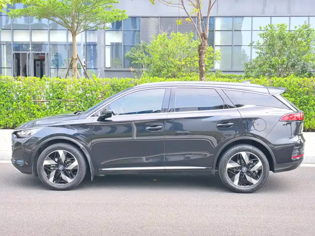 BYD Tang New Energy — фото 4