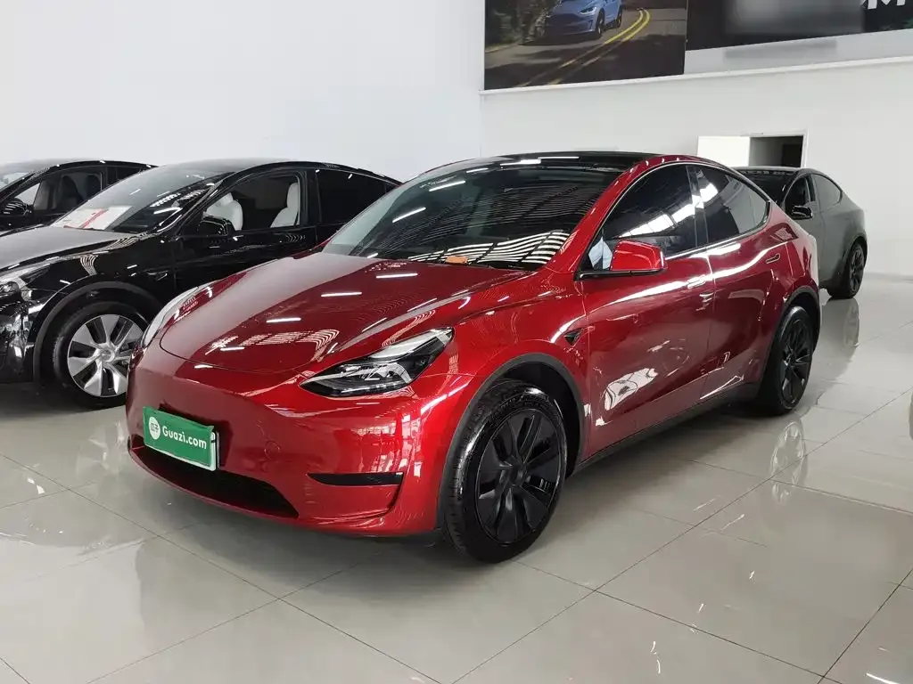 Tesla Model Y — фото 9