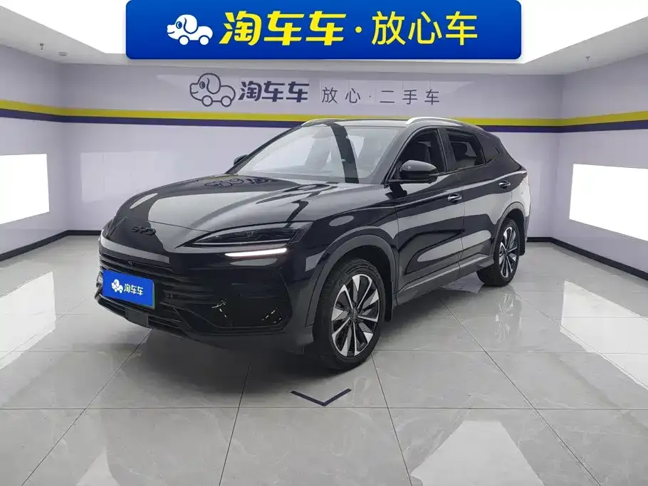 BYD PLUS New Energy — фото 1