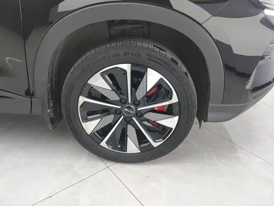 BYD PLUS New Energy — фото 8