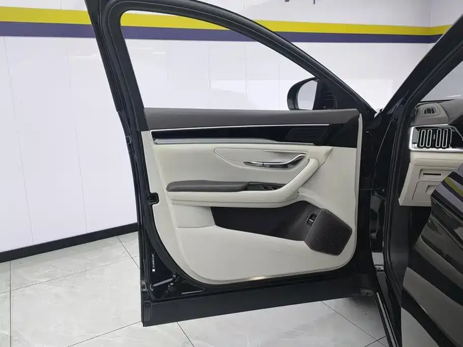 BYD PLUS New Energy — фото 10