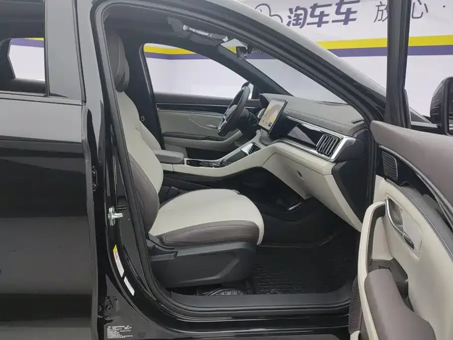 BYD PLUS New Energy — фото 4