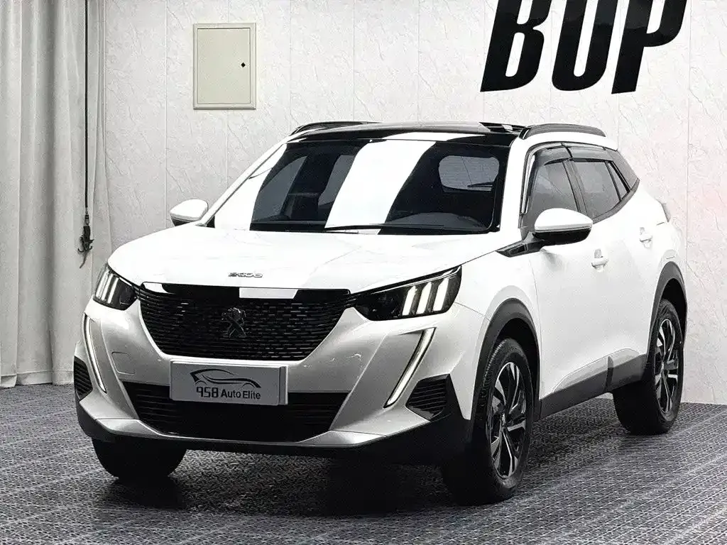 Peugeot 2008 — фото 1