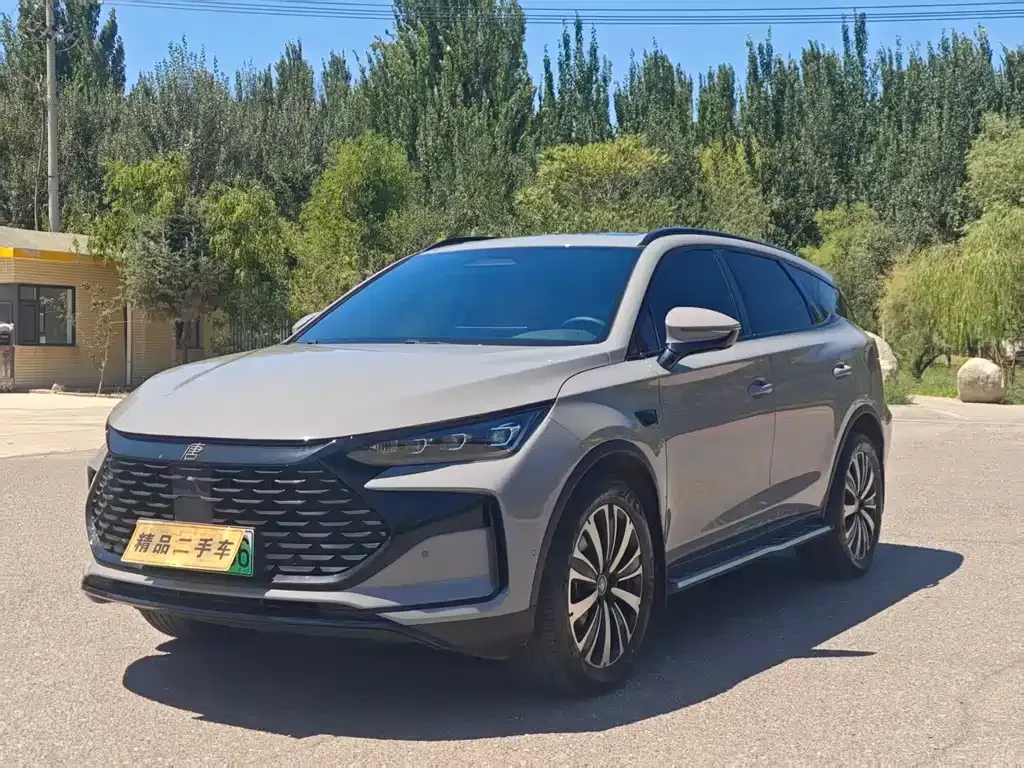 BYD Tang New Energy — фото 1