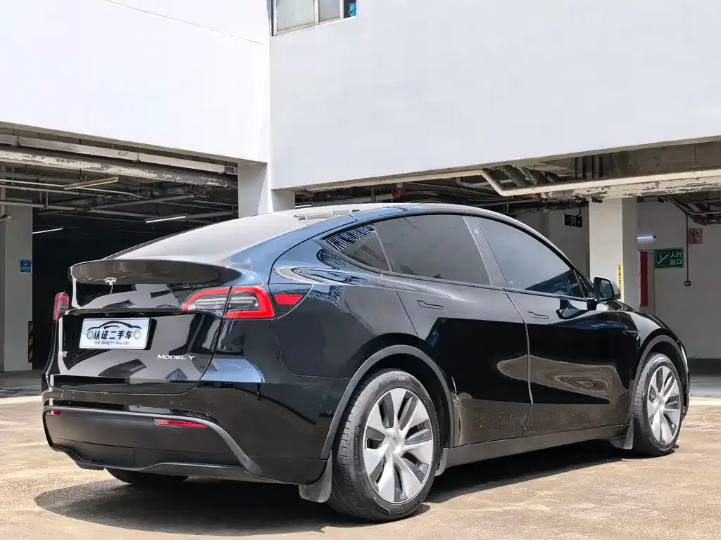 Tesla Model Y — фото 10