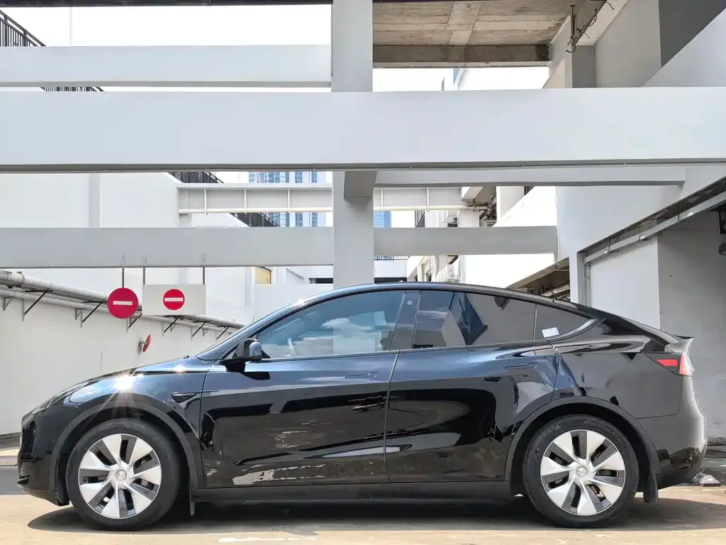 Tesla Model Y — фото 5