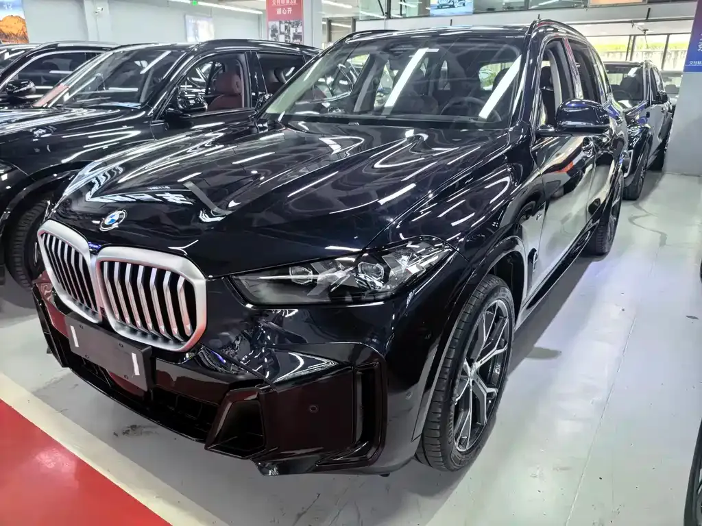 BMW X5 — фото 1