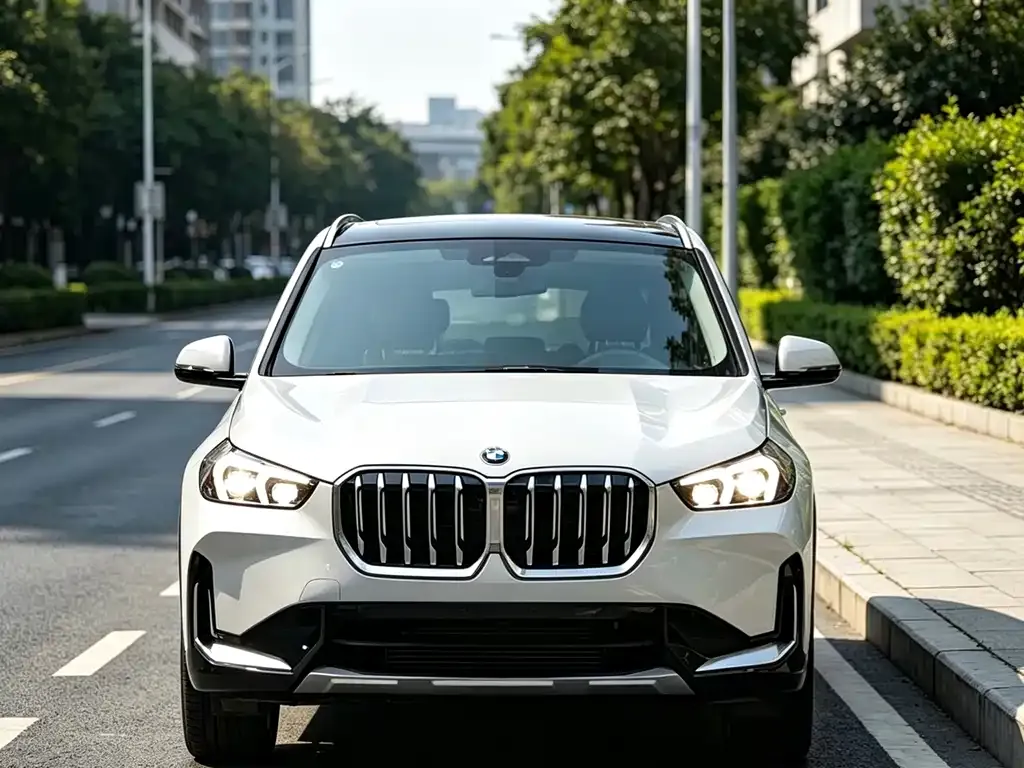 BMW X1 — фото 4