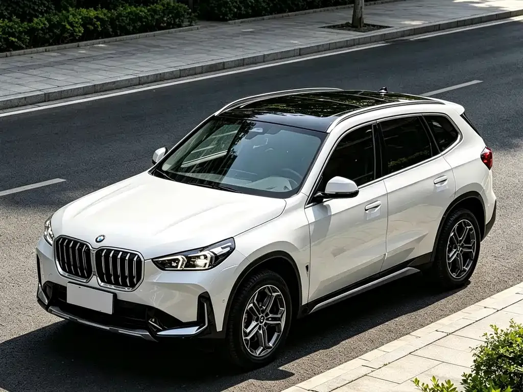 BMW X1 — фото 10