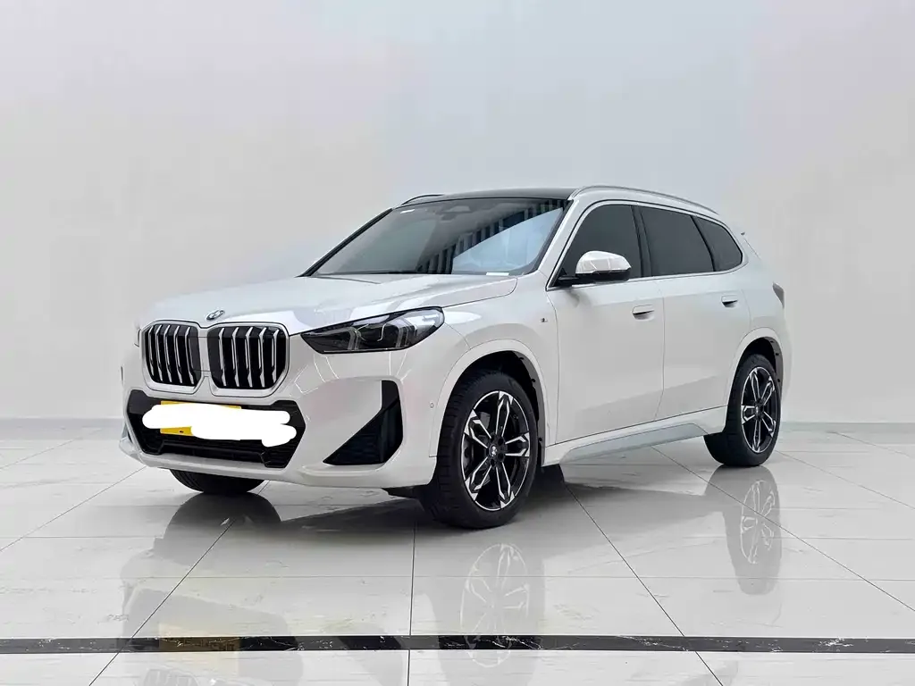 BMW X1 — фото 1