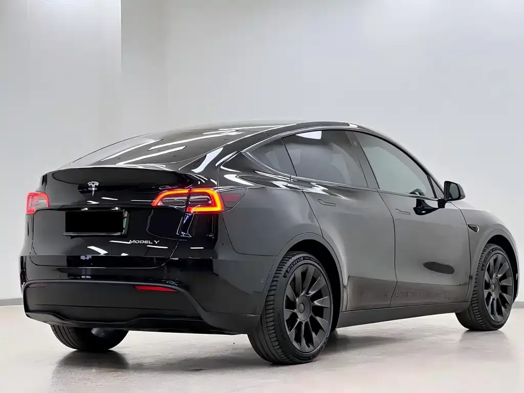 Tesla Model Y — фото 5