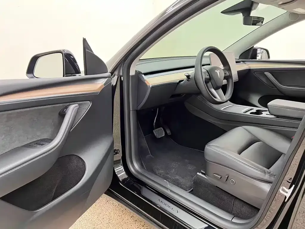 Tesla Model Y — фото 9