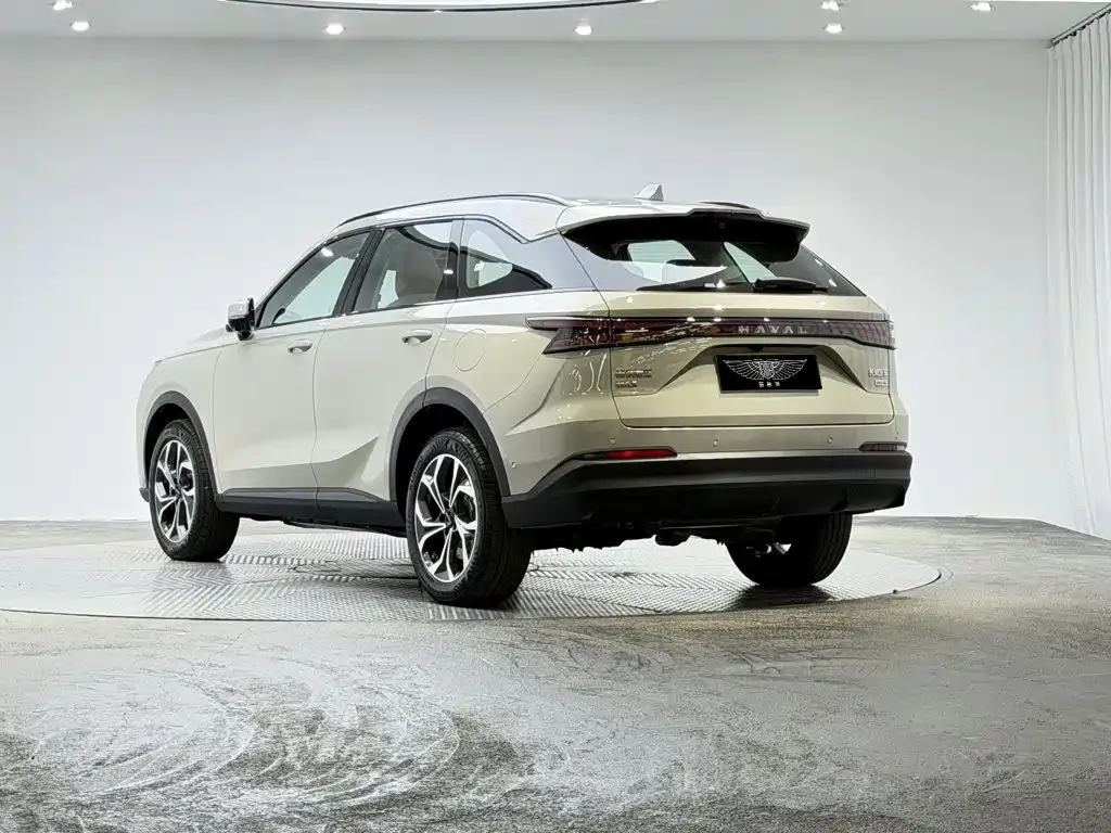 Haval Xiaolong MAX — фото 8
