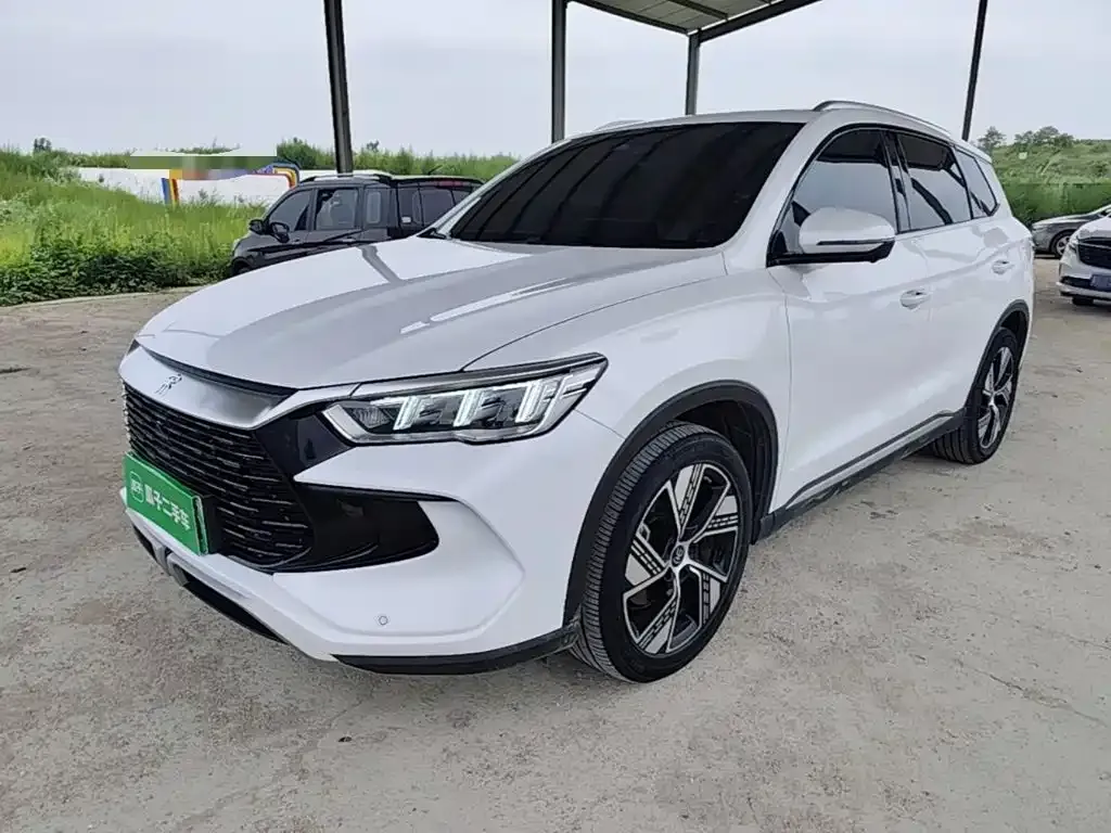 BYD Pro New Energy — фото 8