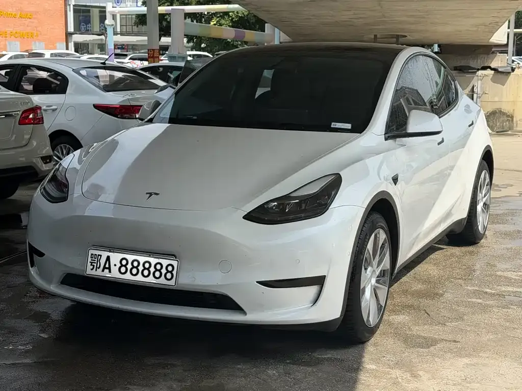 Tesla Model Y — фото 1