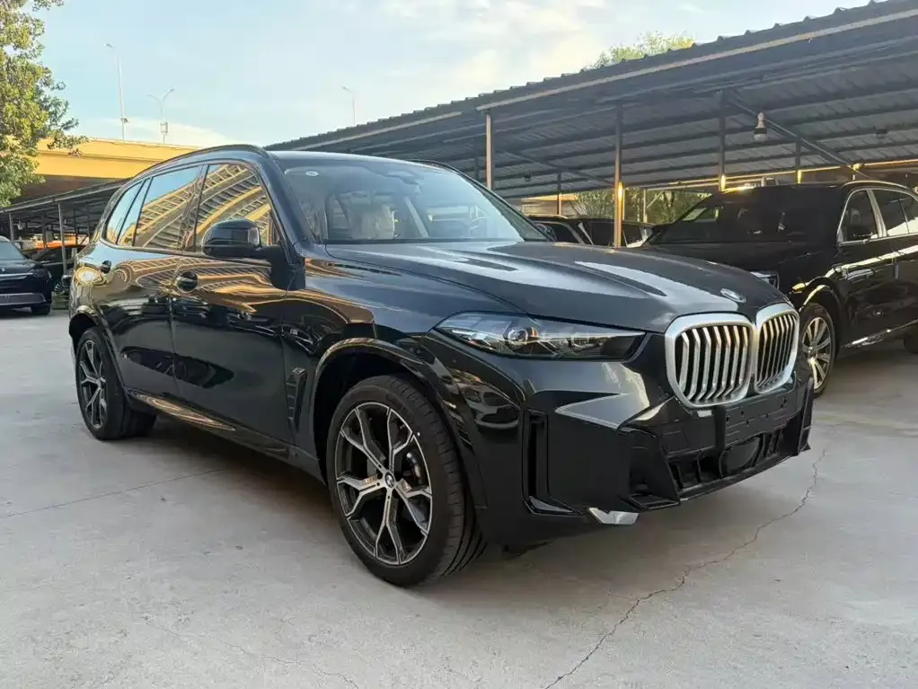 BMW X5 — фото 4