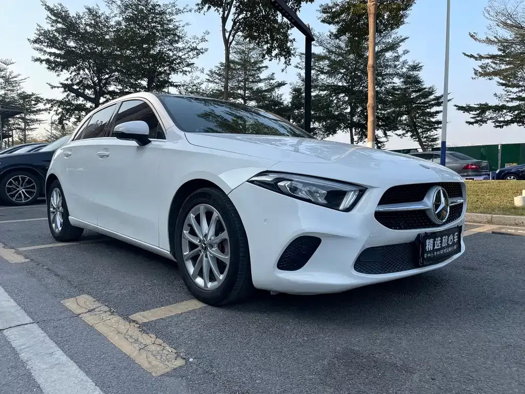 Mercedes-Benz A-Class (Import) — фото 9