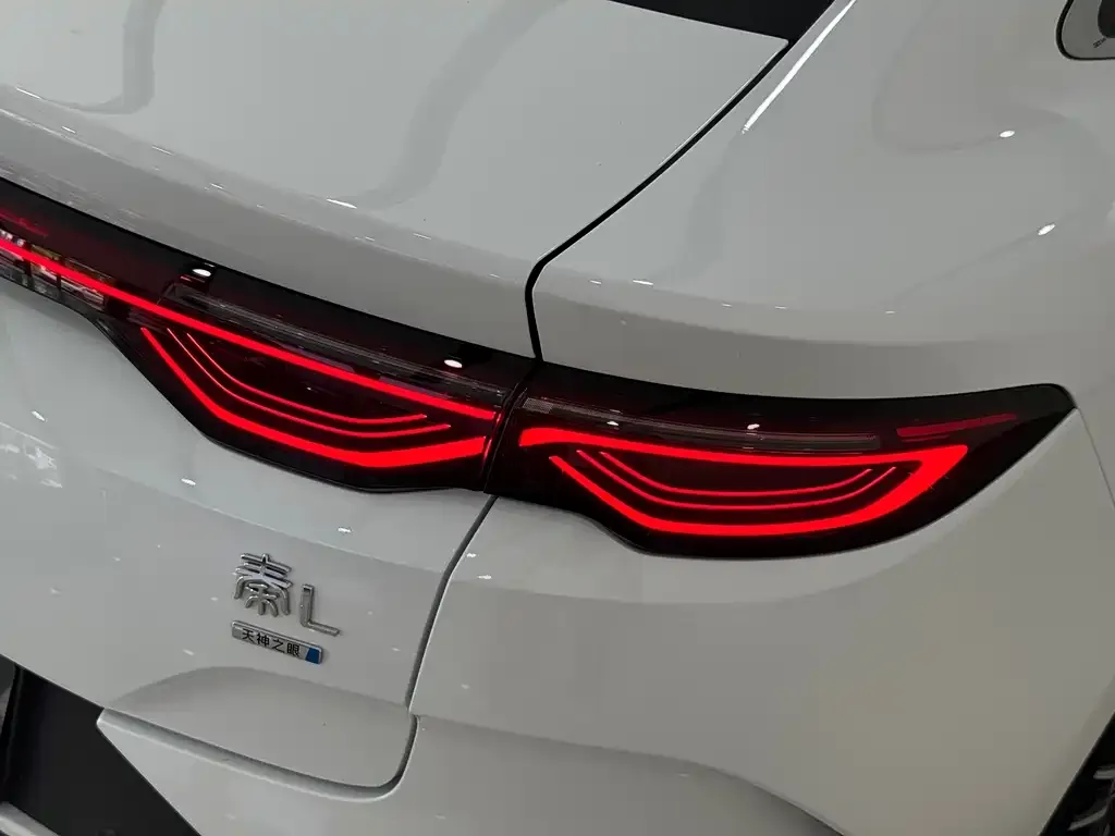 BYD Qin L — фото 4