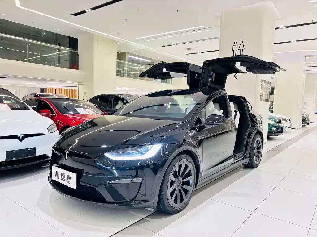 Tesla Model X — фото 1
