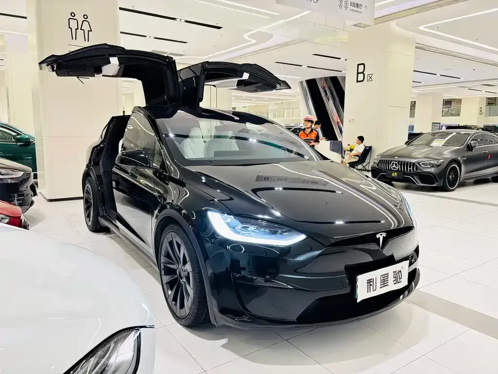 Tesla Model X — фото 5
