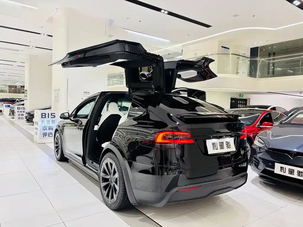 Tesla Model X — фото 10