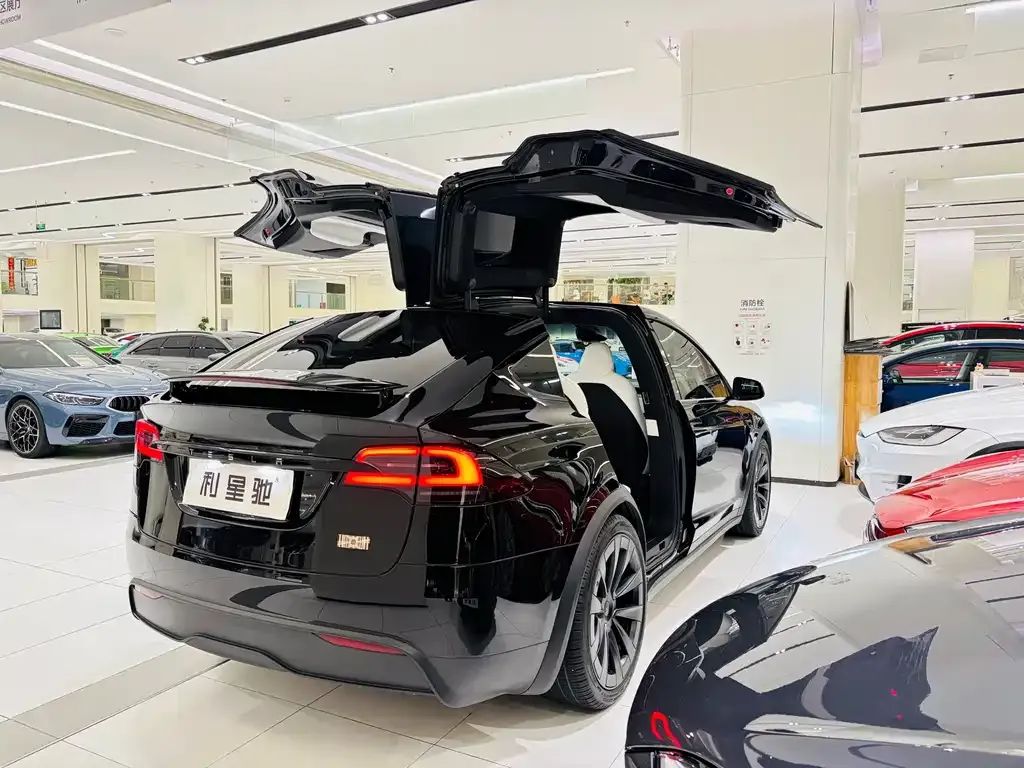 Tesla Model X — фото 6