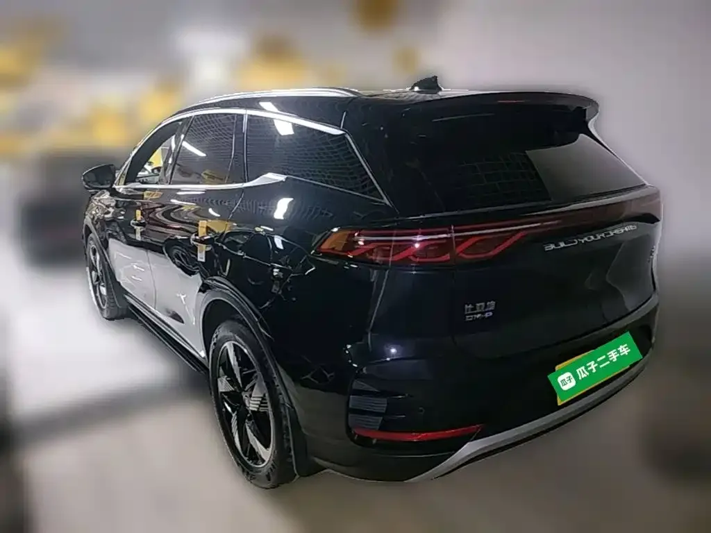 BYD Tang New Energy — фото 2
