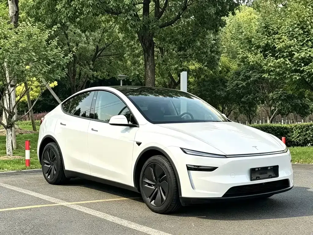 Tesla Model Y — фото 5