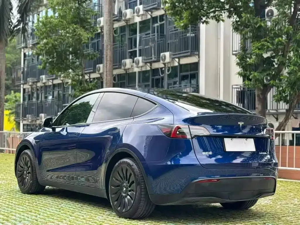 Tesla Model Y — фото 3