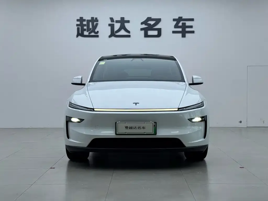Tesla Model Y — фото 5