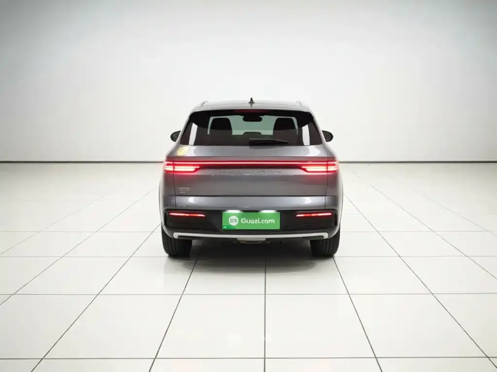 BYD Pro New Energy — фото 7