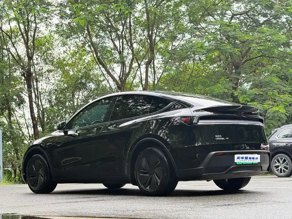Tesla Model Y — фото 5