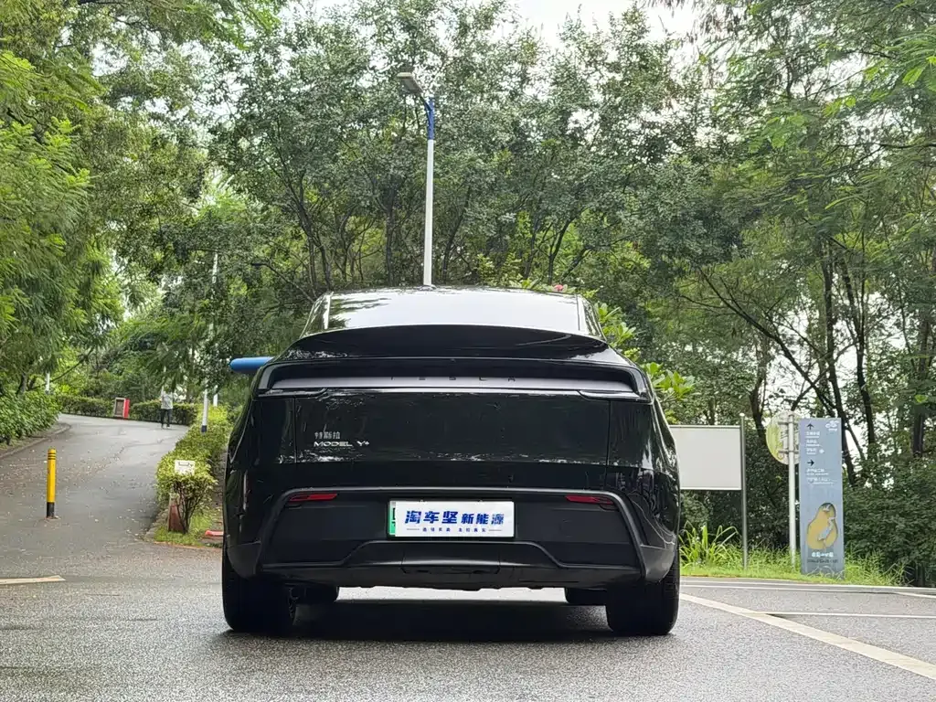 Tesla Model Y — фото 10