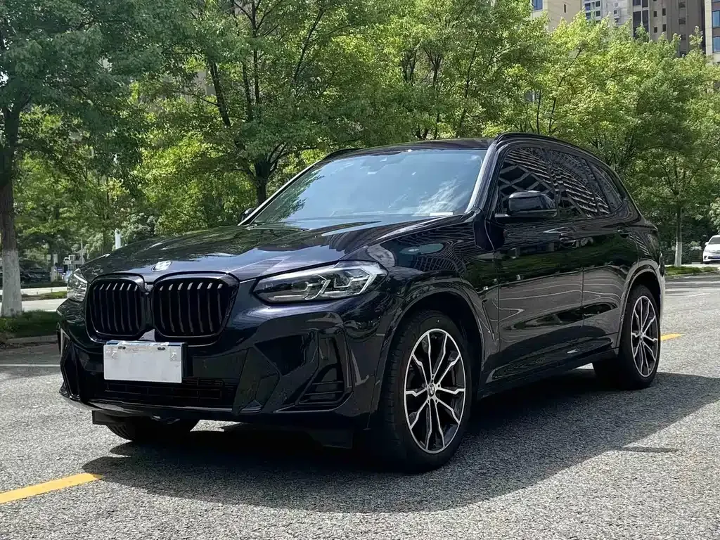 BMW X3 — фото 1