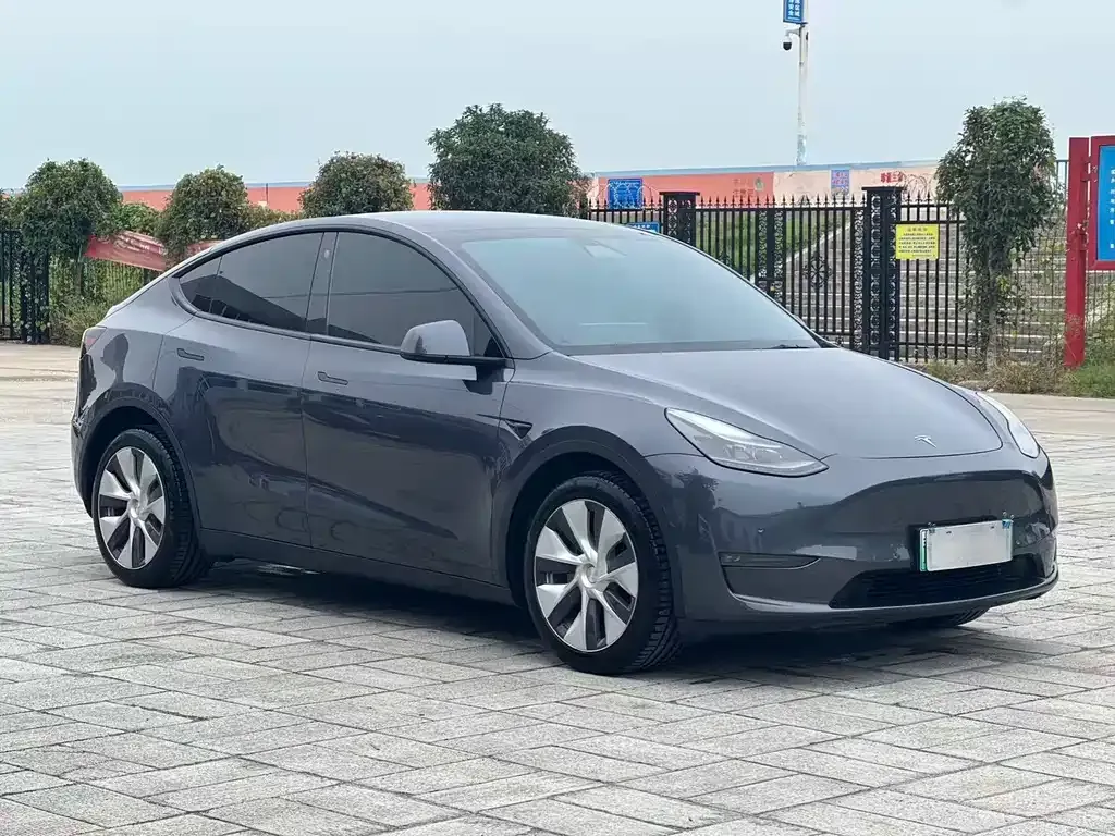 Tesla Model Y — фото 10