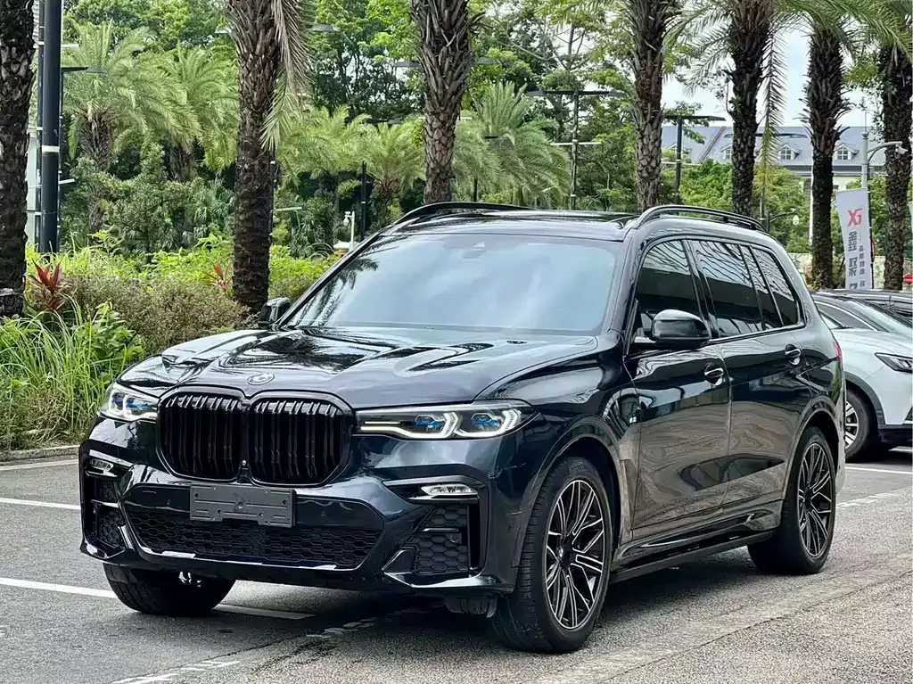 BMW X7 — фото 1