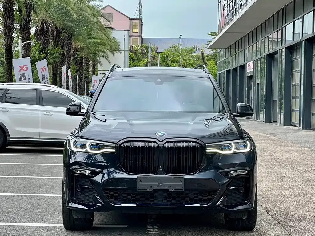 BMW X7 — фото 9