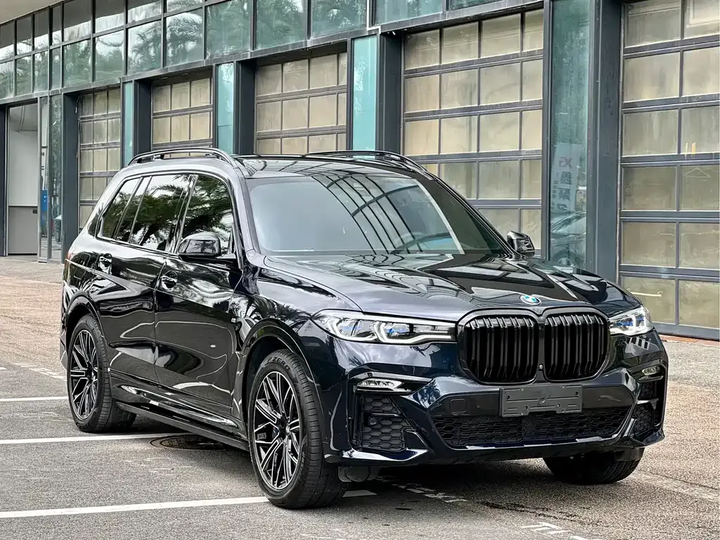 BMW X7 — фото 8