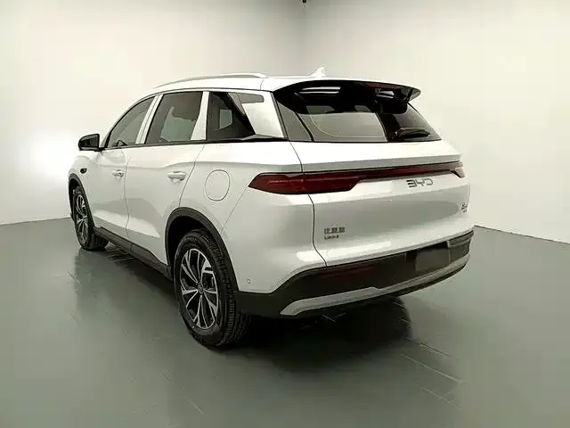 BYD Pro New Energy — фото 7