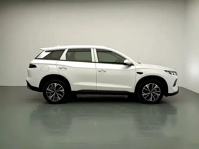 BYD Pro New Energy — фото 2