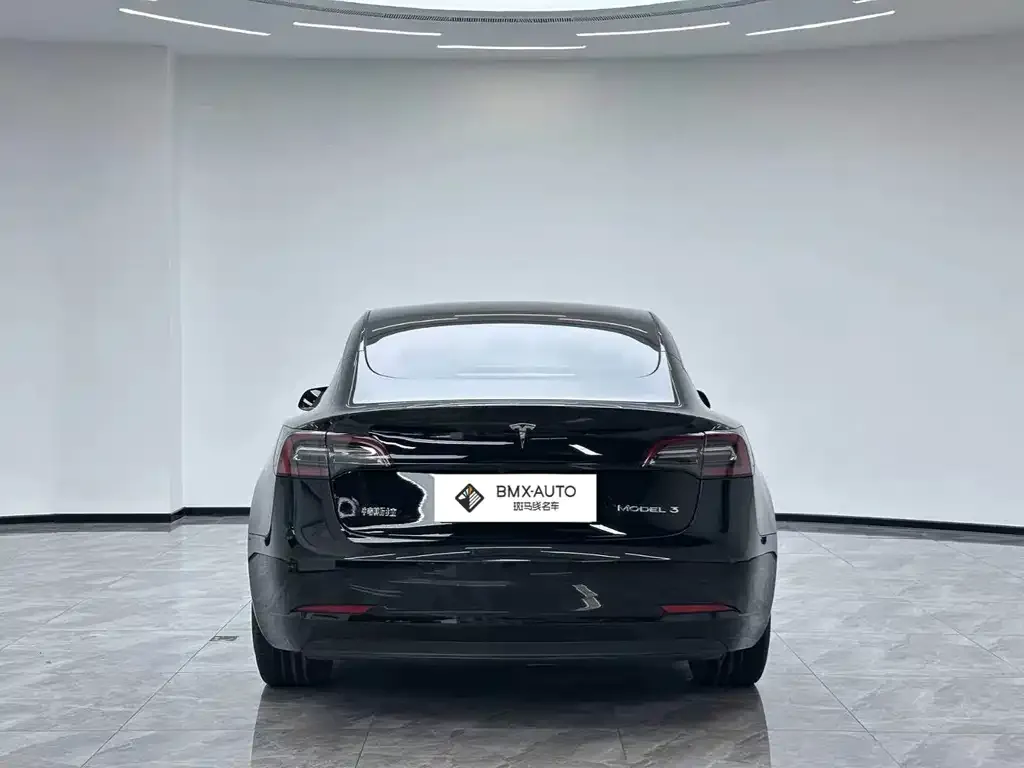 Tesla Model 3 — фото 3