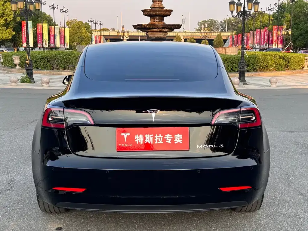 Tesla Model 3 — фото 8