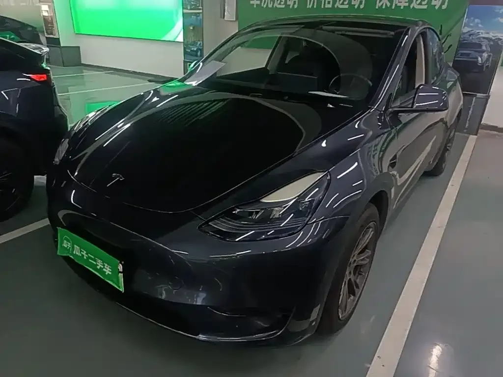 Tesla Model Y — фото 1