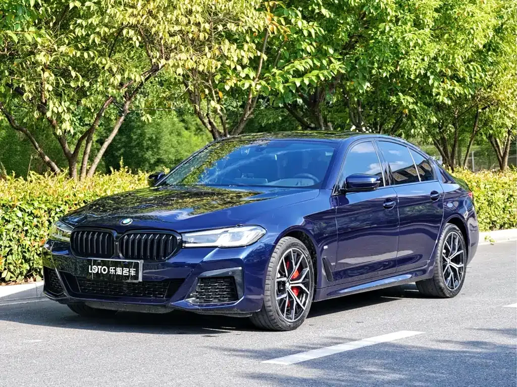 BMW 5 Series (Import) — фото 1