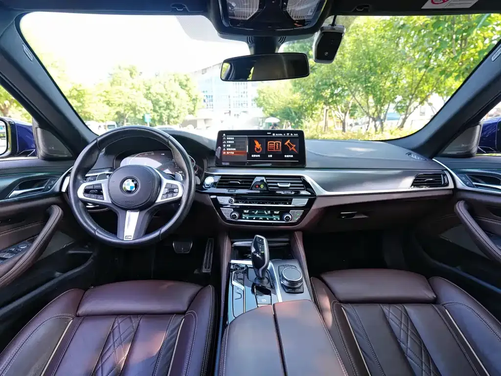 BMW 5 Series (Import) — фото 6