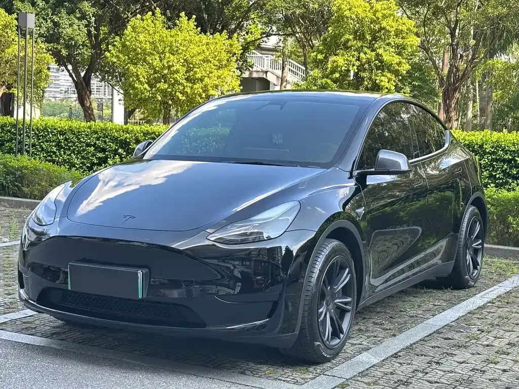 Tesla Model Y — фото 1