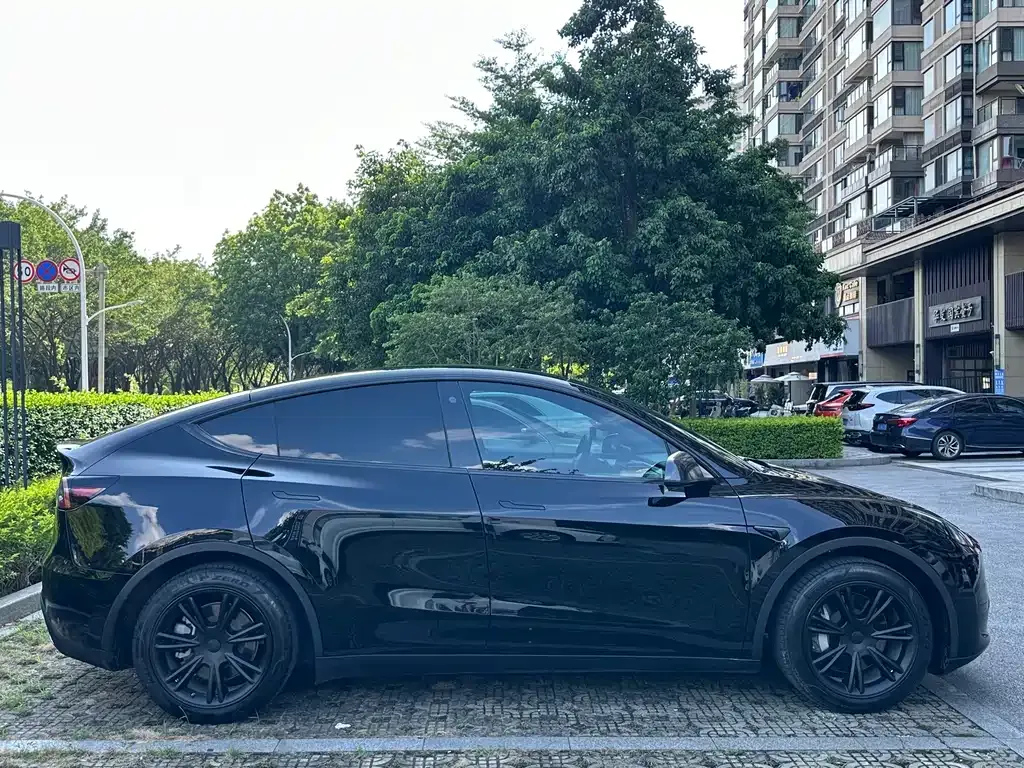 Tesla Model Y — фото 4