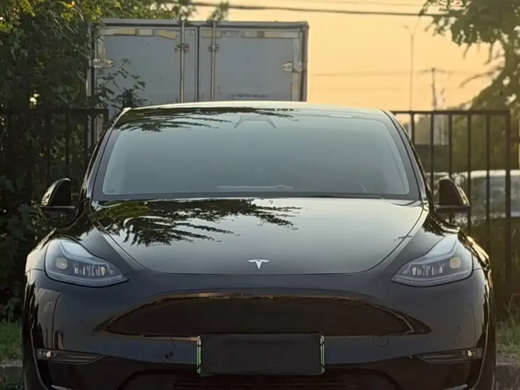 Tesla Model Y — фото 1